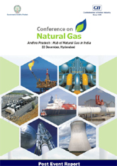 Conference on Natural Gas - Proceedings Summary
